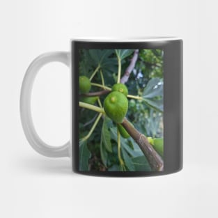 Summer Green Fig Fruit Mug